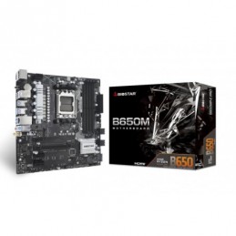 Mainboard|BIOSTAR|AMD...