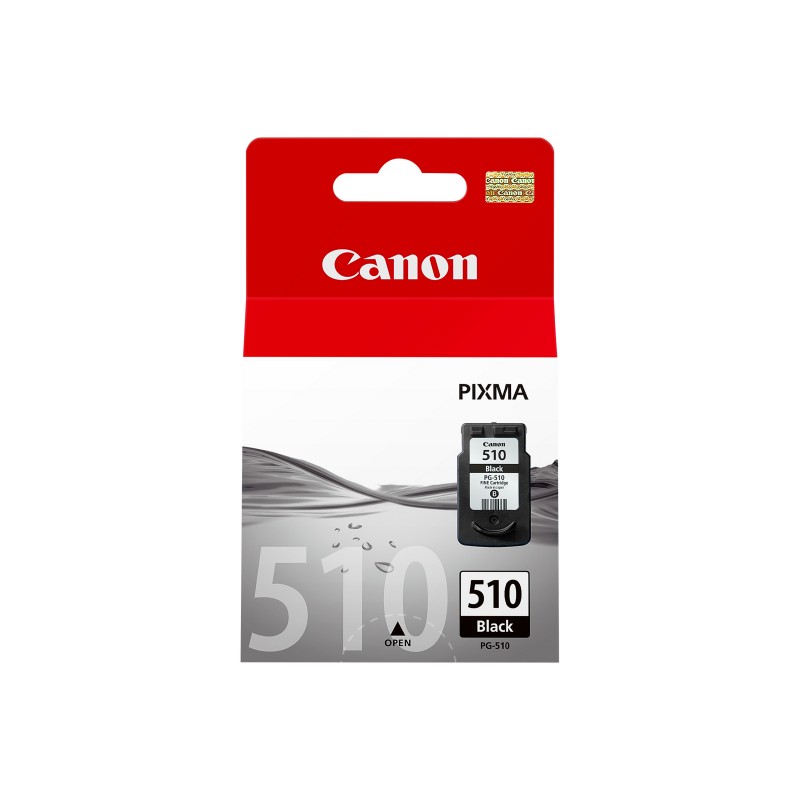 Canon 2970B001 tintes kārtridžs 1 pcs Oriģināls Foto melns