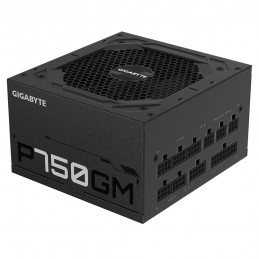 GIGABYTE P750GM barošanas avotu vienība 750 W 20+4 pin ATX ATX Melns