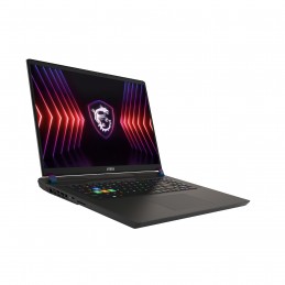 MSI Vector 17 HX A14VGG-216NL Intel® Core™ i9 i9-14900HX Ноутбук 43,2 cm (17") Quad HD+ 16 GB DDR5-SDRAM 1 TB Твердотельный