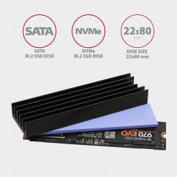 Axagon CLR-M2L10 система охлаждения компьютера Твердотельный накопитель Heatsink Radiatior Черный