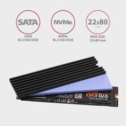 Axagon CLR-M2L3 система охлаждения компьютера Твердотельный накопитель Heatsink Radiatior Черный