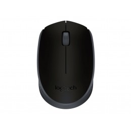 Logitech M171 компьютерная мышь Офисная Для обеих рук Беспроводной RF Оптический 1000 DPI