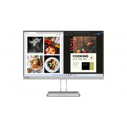 Lenovo L24i-40 LED display 60,5 cm (23.8") 1920 x 1080 пикселей Full HD Серый