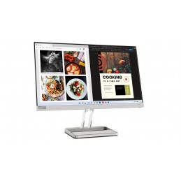 Lenovo L24i-40 LED display 60,5 cm (23.8") 1920 x 1080 pikseļi Full HD Pelēks