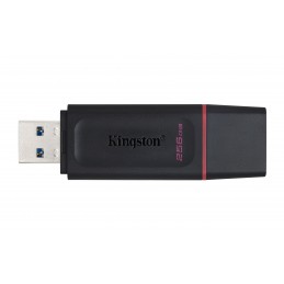 Kingston Technology DataTraveler Exodia USB zibatmiņa 256 GB USB Type-A 3.2 Gen 1 (3.1 Gen 1) Melns, Rozā