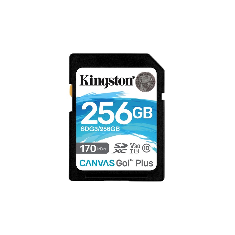 Kingston Technology Canvas Go! Plus 256 GB SD UHS-I Klases 10