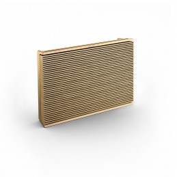 Bang & Olufsen Beosound Level Золото