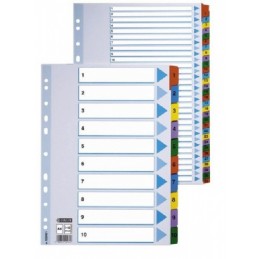 Divider Esselte Mylar, A4,...