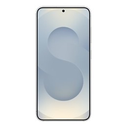 Samsung Galaxy S25 Enterprise Edition 15,8 cm (6.2") Divas SIM kartes Android 15 5G USB Veids-C 12 GB 128 GB 4000 mAh Sudrabs